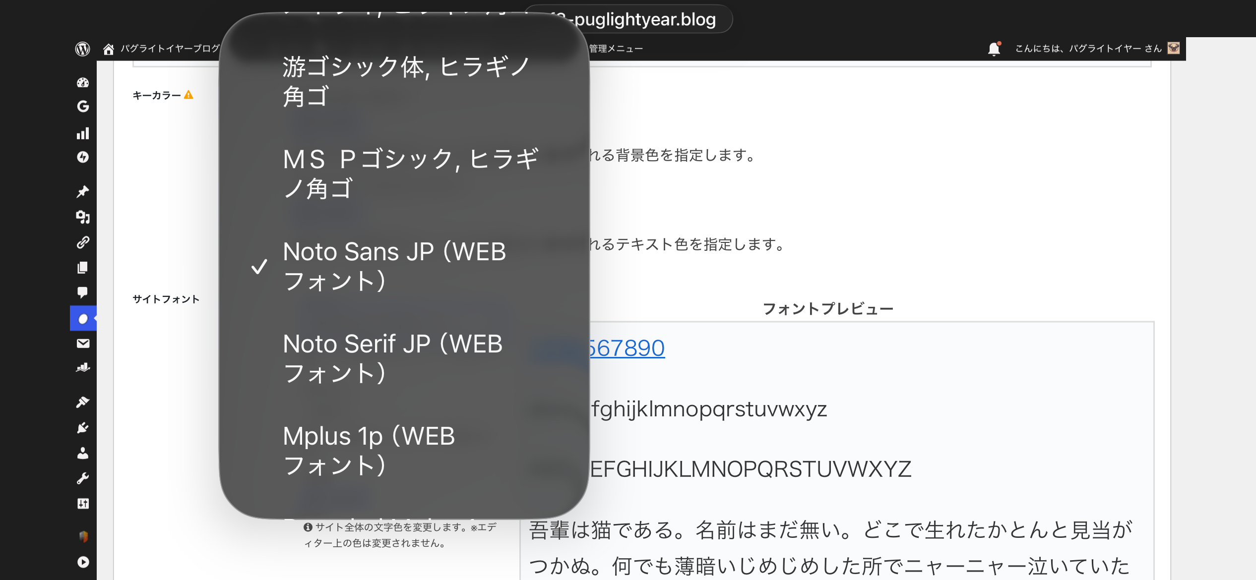 Cocoonのフォント選択ドロップダウン。游ゴシック体・MS Pゴシック・Noto Sans JP（チェックあり）・Noto Serif JP・Mplus 1pの選択肢が表示されている